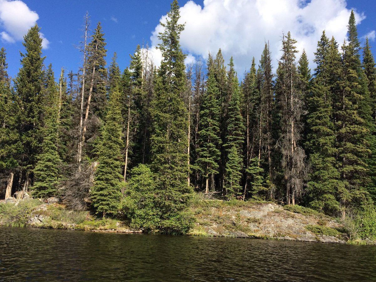 Jack Payne tweet media