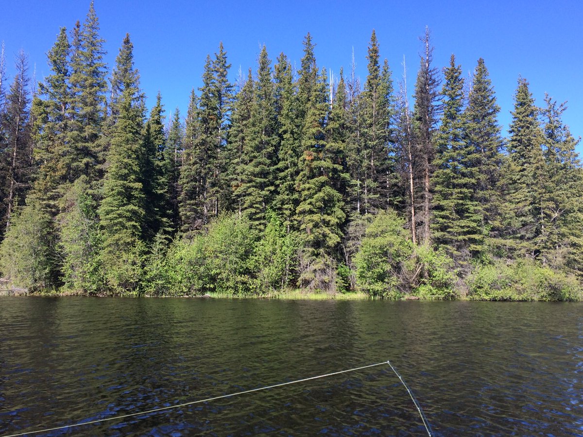 Jack Payne tweet media