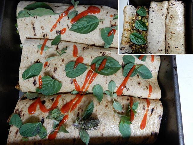 #Vegan #Wraps with #Corn, #SugarSnapPeas, #FreshHerbs, #Tempeh, #Tomato, #Olives, #onion, #CabbagePesto, #Zucchini and #Miso. Another recipe improvised out of desperation from assorted odds and ends I had to make use of. 😅 In this case we had a freez… bit.ly/2FsPehe