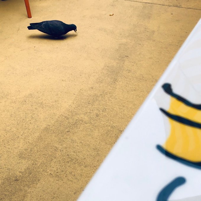 Ni Lab Nilab Twilog Ni Lab Nilab Twilog