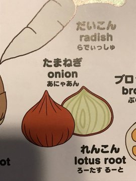 まさかダイソーに 英語の読み方がガチすぎる こどもはじめてずかん に驚きの声 いまトピ