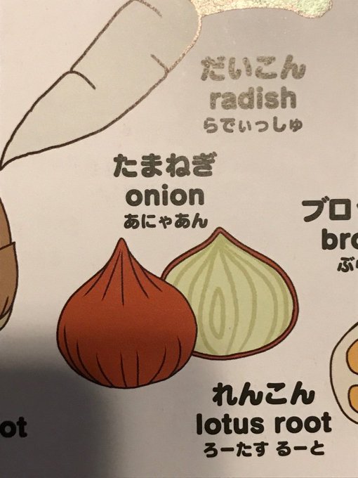 買ってみた Snsで英語の読み方が話題 こどもはじめてずかん 英語勉強法ノートeigonote