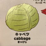 ダイソーで売っている子供むけの図鑑 英語の読み方がガチすぎる あにゃあん すとぅ などジワジワくると話題に Togetter