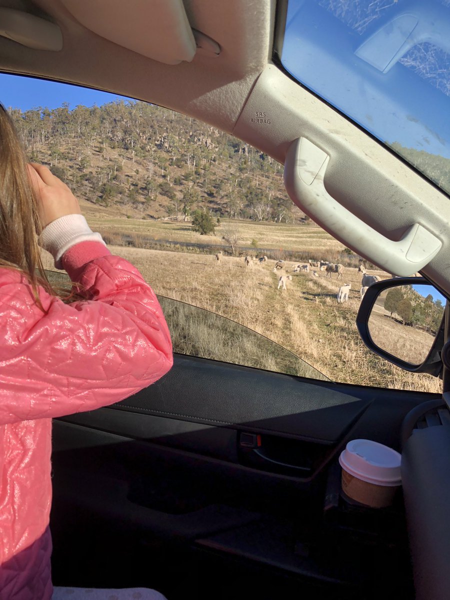 Lambing 2019 manager on duty. hot chocolate ✔️ binoculars ✔️ blueberry muffin for the task ✔️ dad under full instructions ✔️ seems like we are sorted   #lambing #farmlife #sofarsogood