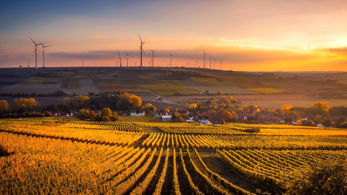 Join us on one of our unique and creative discovery tours while experiencing it all exclusively via our Vintage Mini Coopers. Visit nobodystours.co.za now for more info and how to book! #eatsleepplayrepeat #classicmini