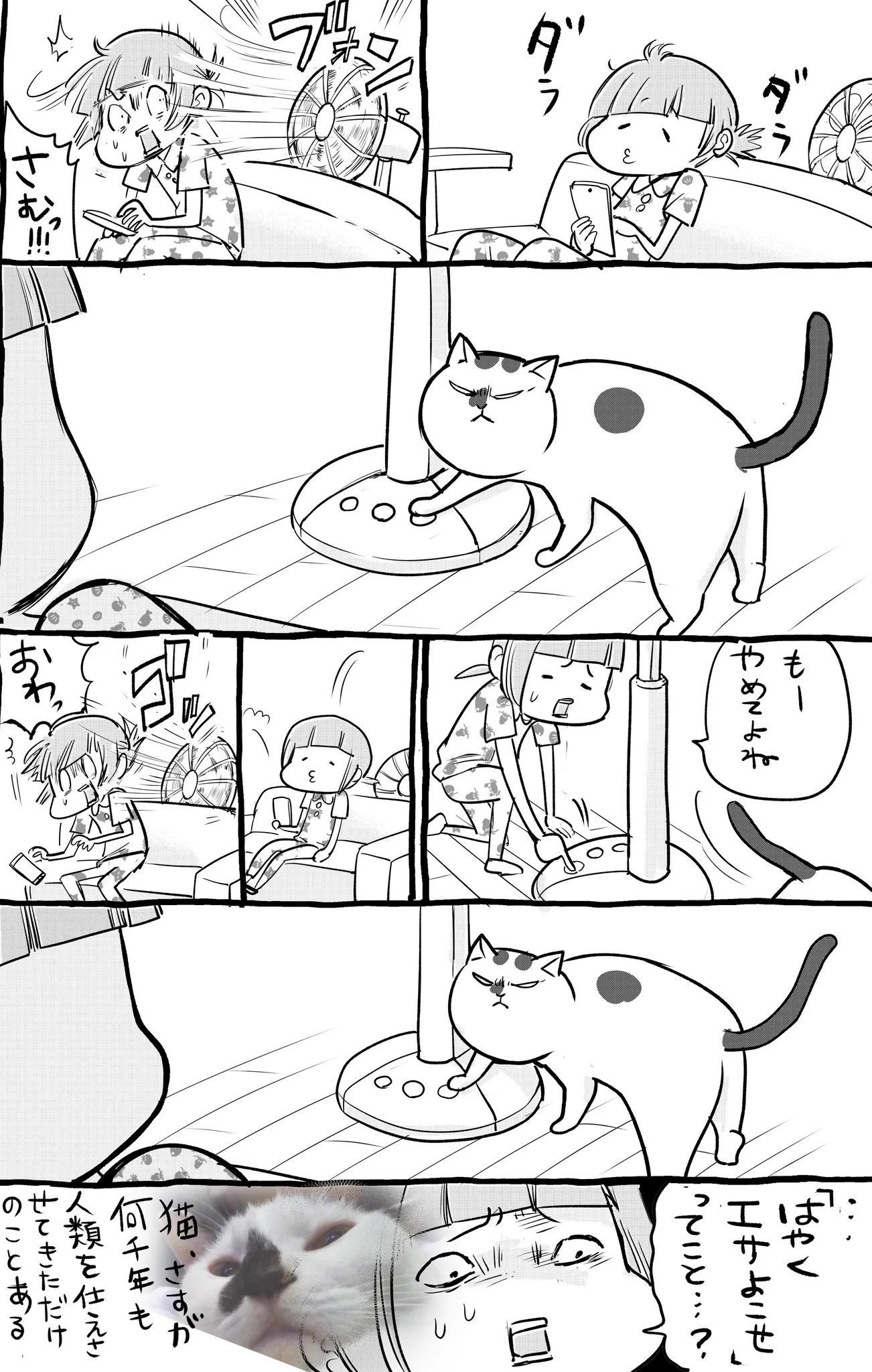 犬と猫どっちも飼っている人の休日！！どっちも可愛いなwww
