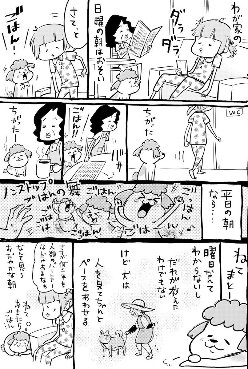 犬と猫どっちも飼っている人の休日！！どっちも可愛いなwww