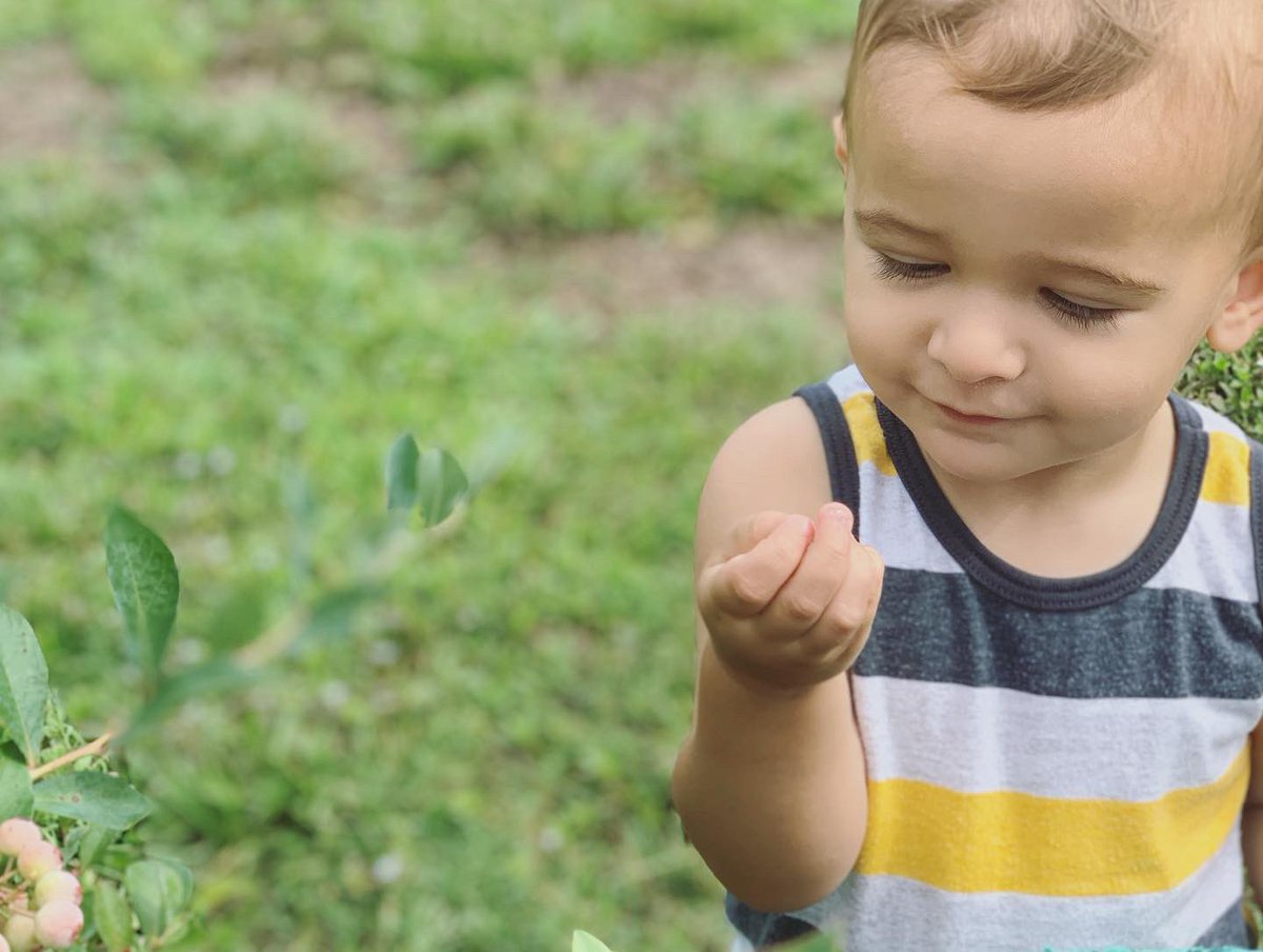 jmtownse's tweet photo. We love sunflowers, blueberries, and animals! Enjoying some time with our friends in South Carolina 🌻♥️ https://t.co/ComJCEYh7c