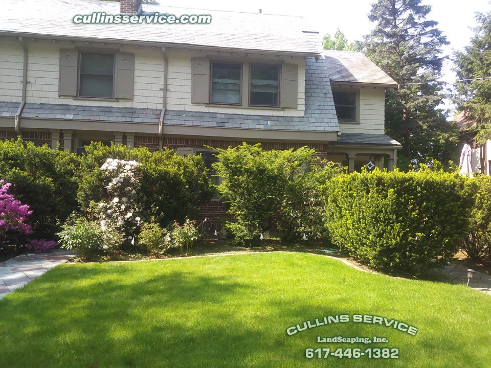 Culser1's tweet photo. #major #renovation to one if our #favorite clients. Removed almost all their overgrown front bushes. This project turned out #great fairly stressful, but every did #love the results. As usual the bobcat was definitely a #big #help

#landscape #New #winning #growing #green #bobcat https://t.co/OXGfcRDDzv