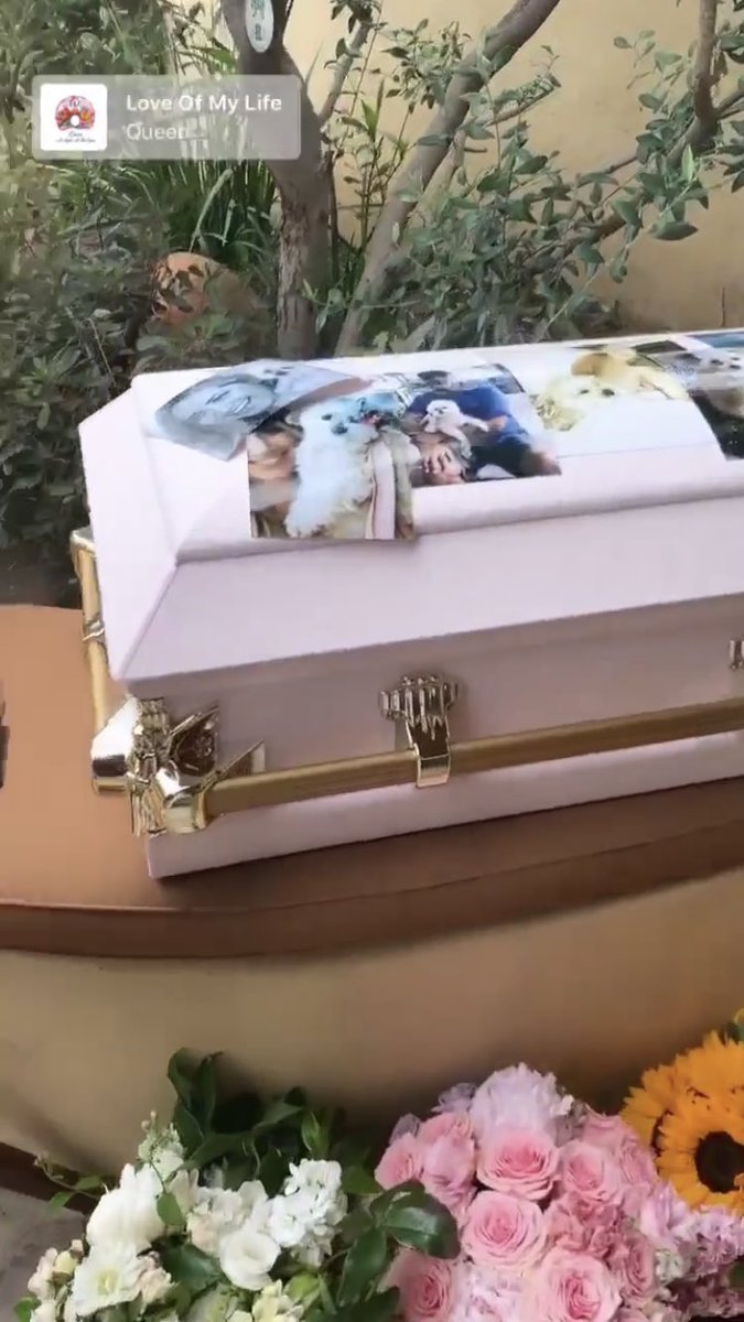 ashleytbrasil's tweet photo. É de cortar o coração!
Ashley Tisdale postou um vídeo do velório da pequena Maui, cachorrinha de estimação dela que faleceu essa semana. #RIPMaui #RIP https://t.co/vTYtnzWaP0