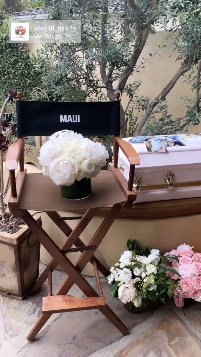 ashleytbrasil's tweet photo. É de cortar o coração!
Ashley Tisdale postou um vídeo do velório da pequena Maui, cachorrinha de estimação dela que faleceu essa semana. #RIPMaui #RIP https://t.co/vTYtnzWaP0