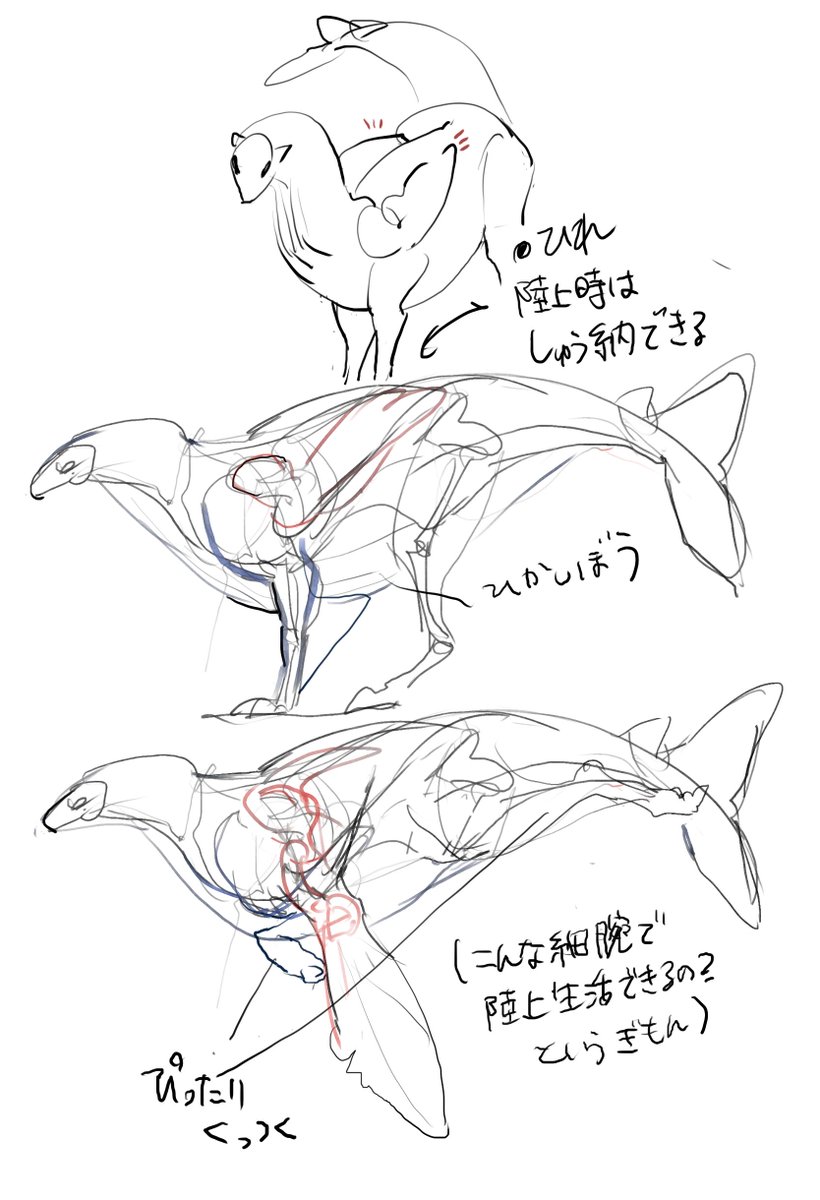 雑ざっつ設定資料
絶対将来的にクジラみたいになる 