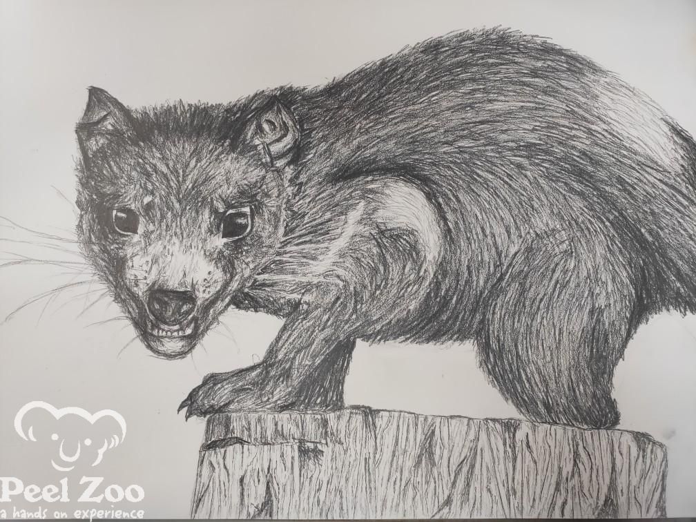 PeelZoo's tweet photo. Amazing work by the incredibly talented Amber Ward!
Stay tuned for news about some exciting collaborations with local artists.
:) https://t.co/bqwGhefDWN