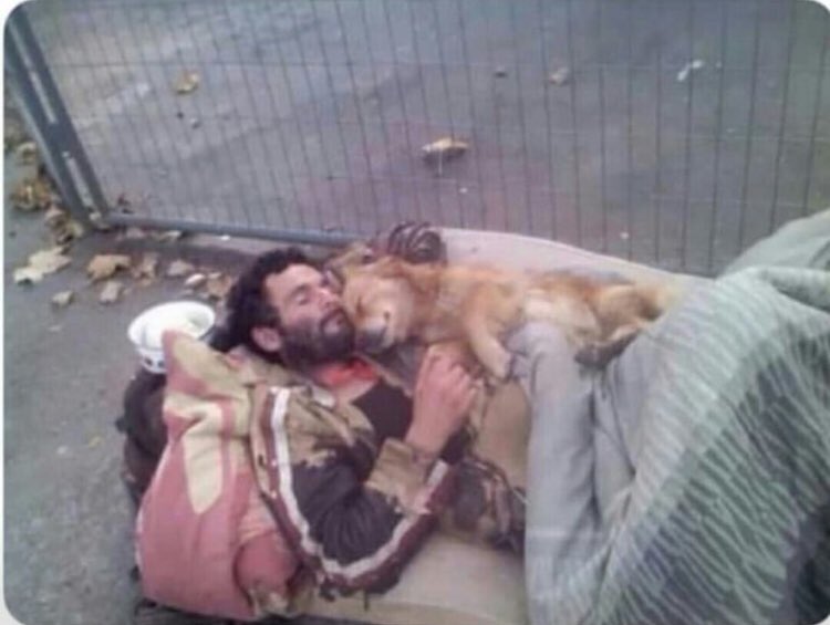 Yeryüzünde nice bilinmeyen vardır ki, Gökyüzünde şöhret sahibidirler.
                HZ ÖMER