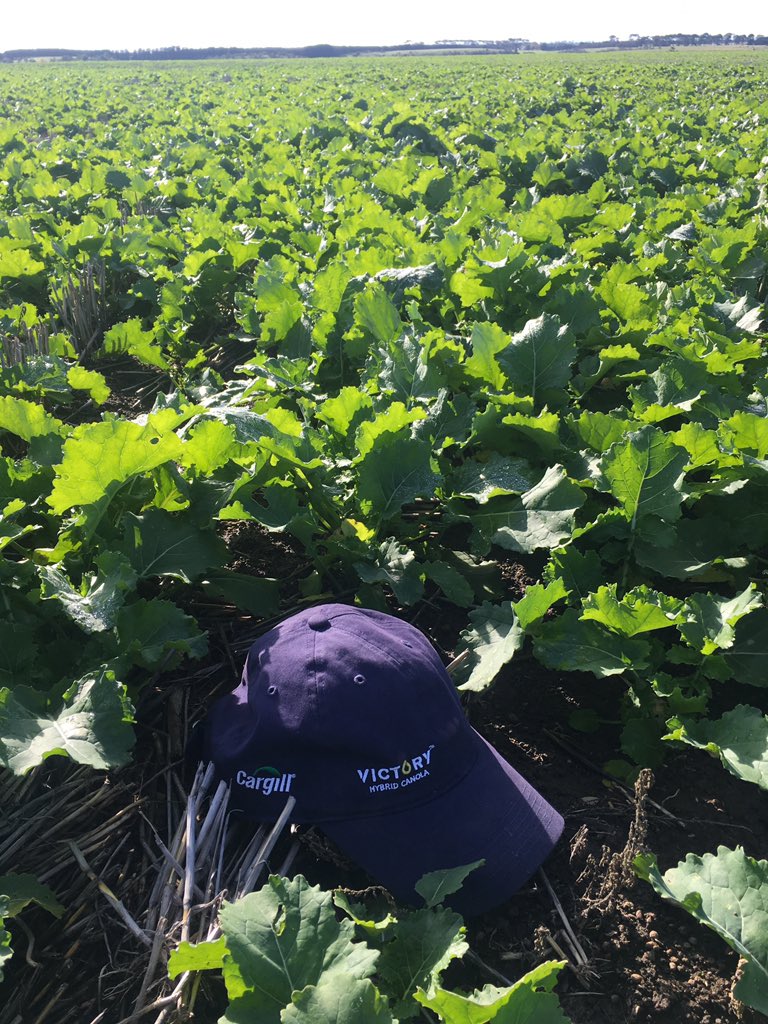 Agribusiness Plus tweet media