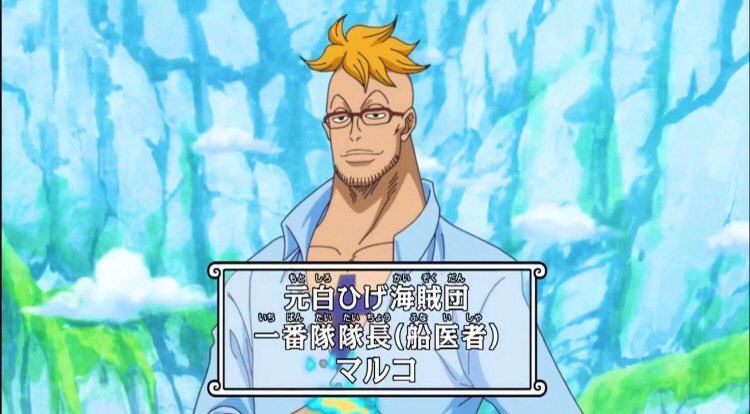 ワンピース マルコのワノ国での活躍を紹介 その後の動向についても Selvy