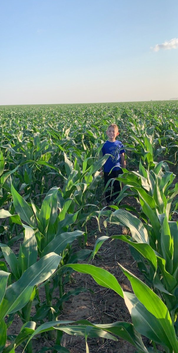 Long ways to go but dryland looking pretty good