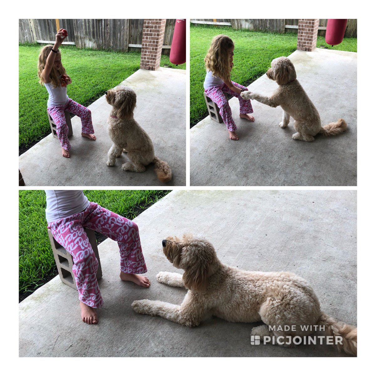 Nathan Lino tweet media