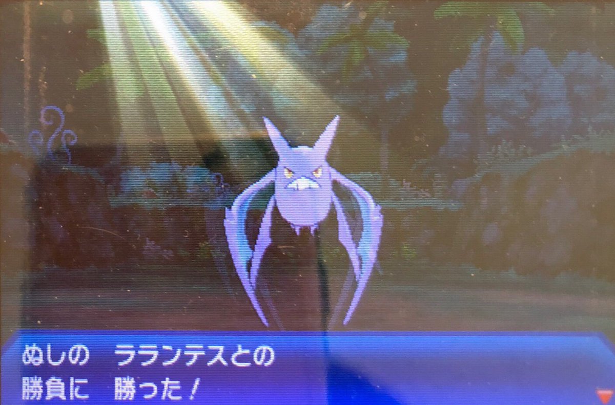 スラヨシ アンテ ポケダン空ネタバレしないでね On Twitter なぜさっきこうごうせいしなかったんだろ おかげで倒せた Https T Co Udv76cw78w Twitter