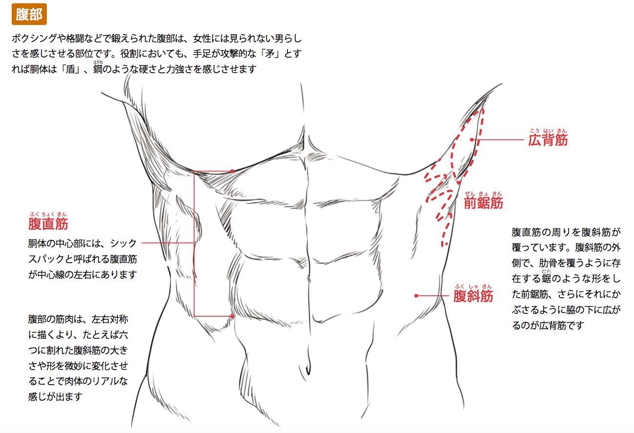 玄光社 超描けるシリーズ 超描ネタ帳 腹筋を描く シックスパックの描き方をご紹介 腹部にある4つの筋肉を知るのがまず大切 その上で大きさや形を変え リアルを追求しましょう 夏に向けて腹筋を割りたい方も参考にしてみてください つよ丸