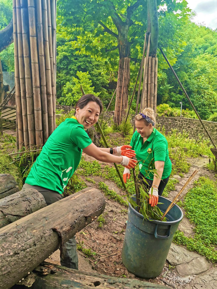 Julie Shin tweet media