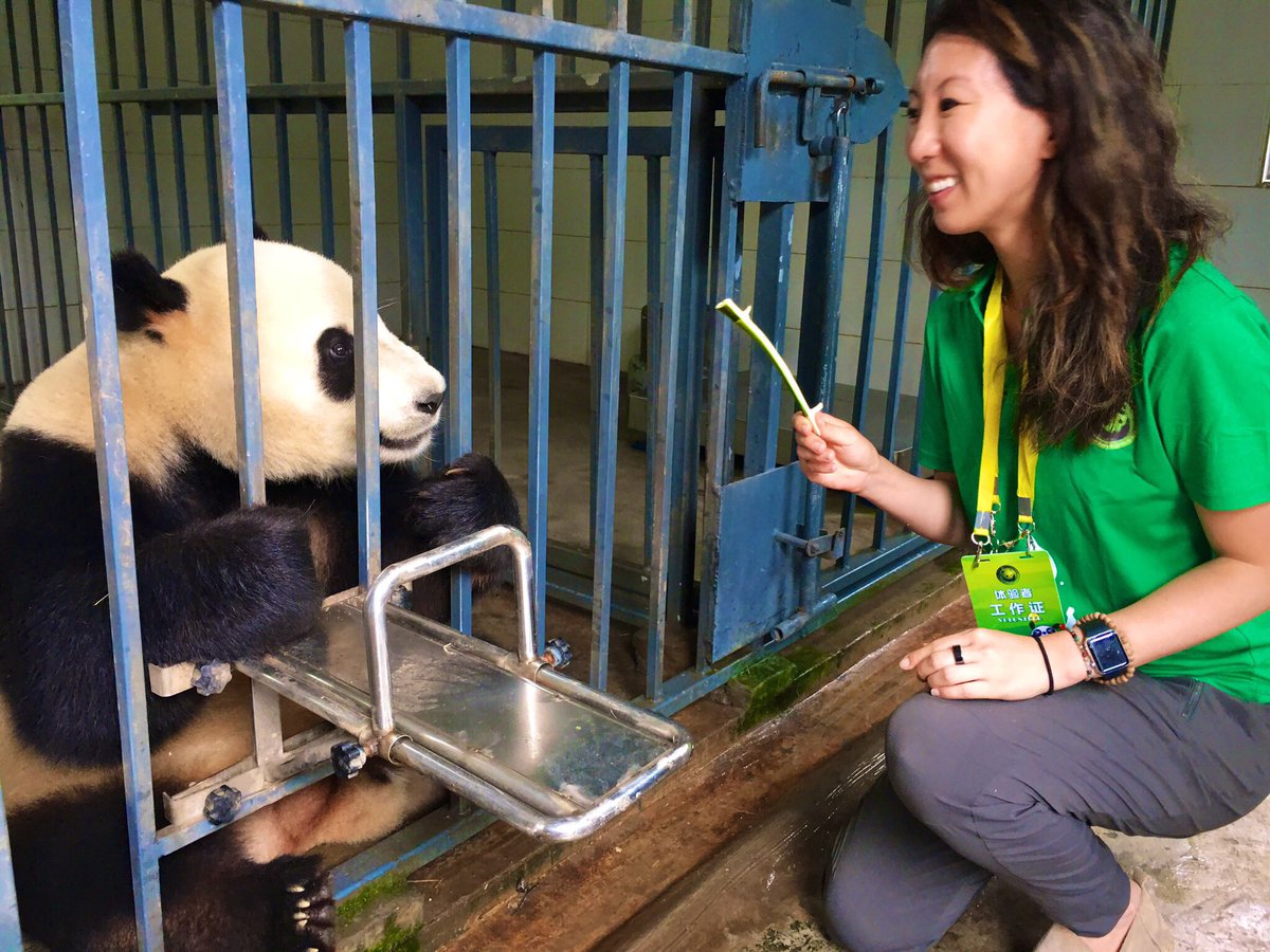 Julie Shin tweet media