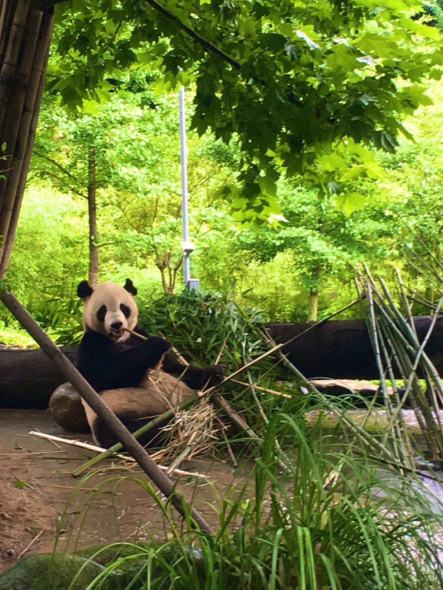 Julie Shin tweet media