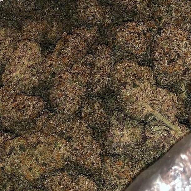 marijuanashop20's tweet photo. Just tap in ππ» https://t.co/cl7i5hAXVV
#Weedheads π₯π #goodnight #bestnugs #hightimes #cannabis #cannabiscommunity #bongbeauties #girlswhosmoke #dank #medical #strictlyloud #stayhigh #instaweed #kronic #topshelflife #topshelf #highlife #dabs #shatter #maryjane #goodweed #kush https://t.co/FFU1NslnWd