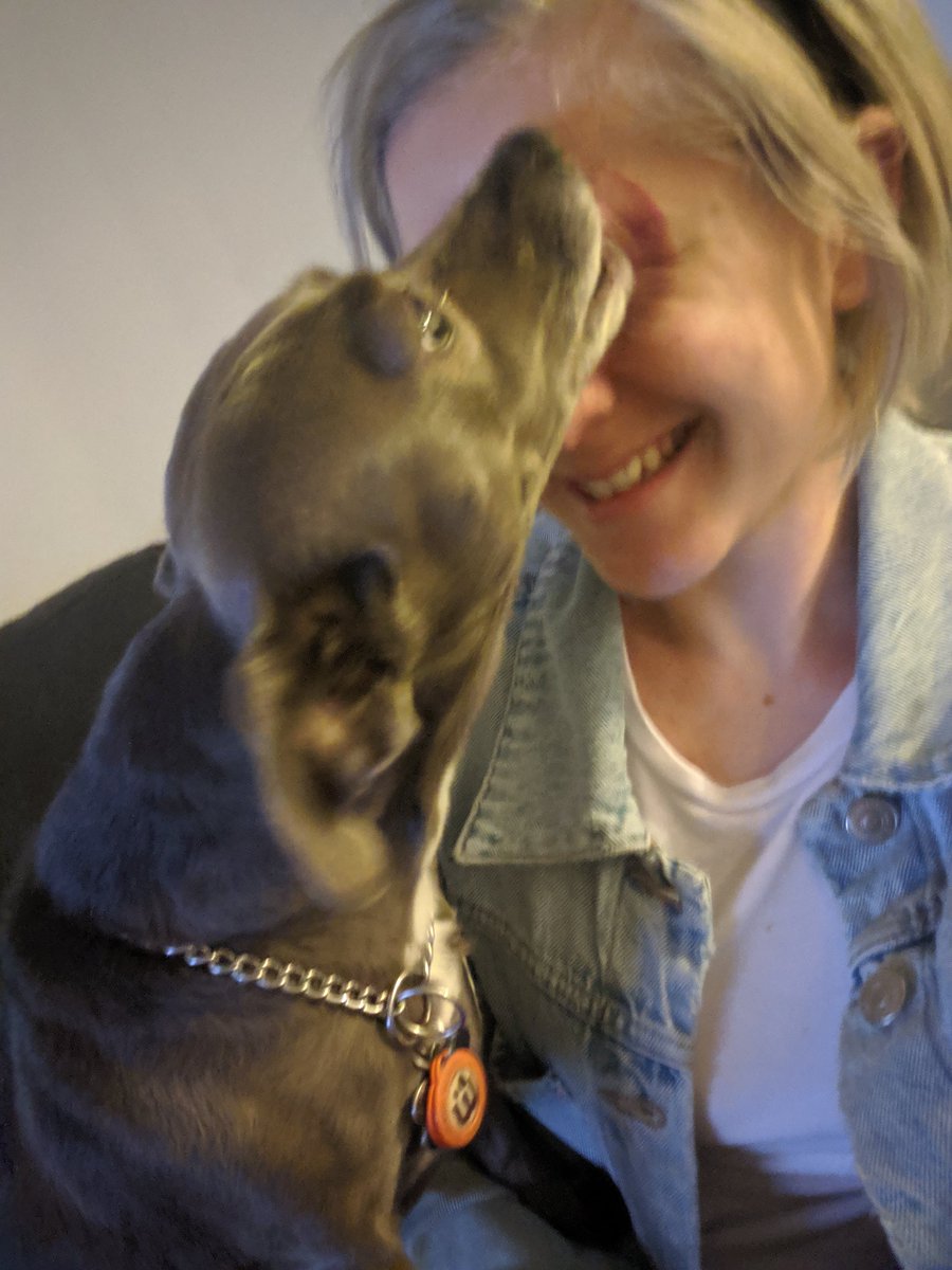 Why Do Dogs Lick Human Tears