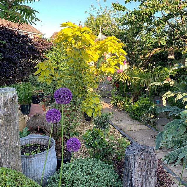 Nice light in the #garden 😊 bit.ly/2J3HIdD