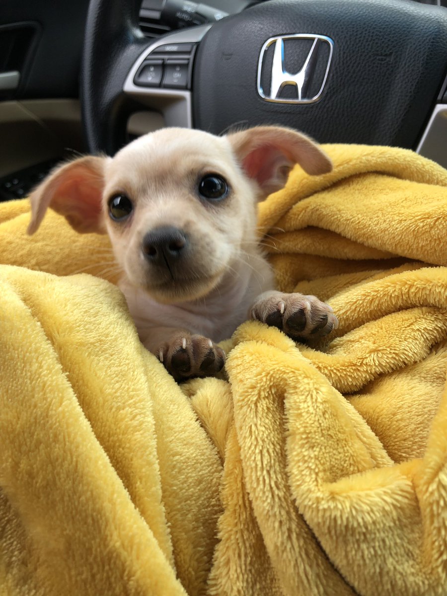 rxbecv's tweet image. I'm obsessed 💗