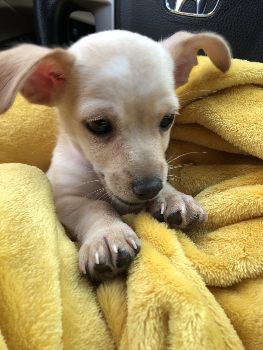 rxbecv's tweet image. I'm obsessed 💗