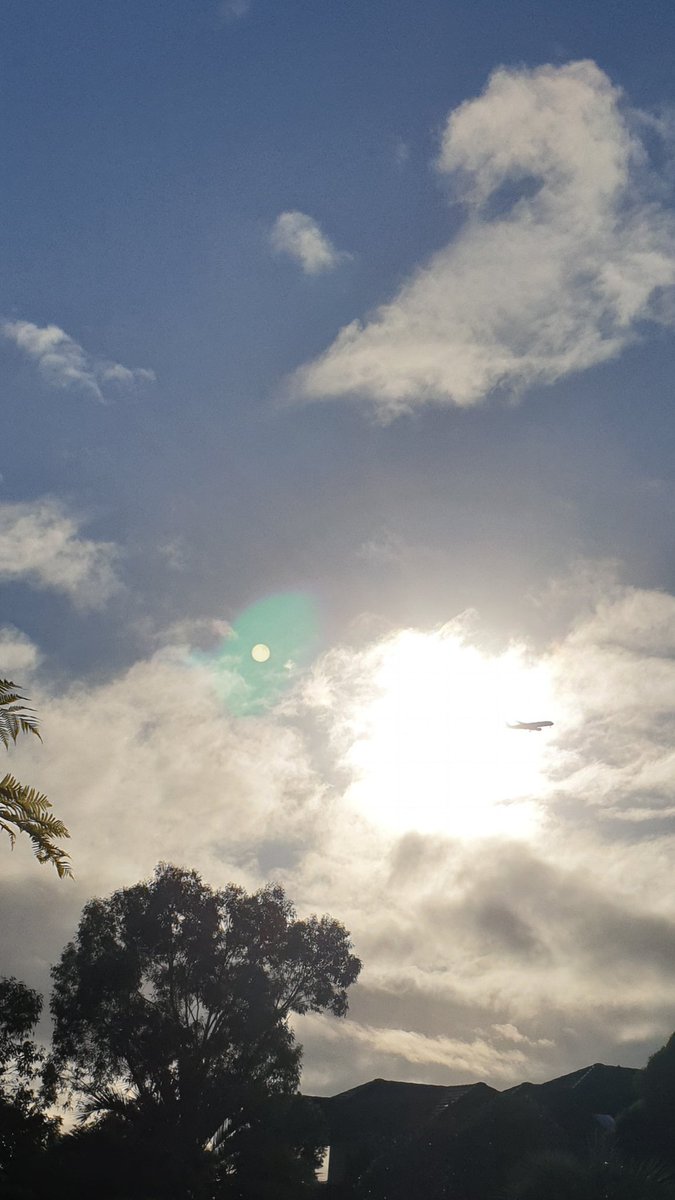 CherScheff's tweet photo. In and out of the morning sun #flightIn
Click for full pic pls https://t.co/Ud9aVhNX0c