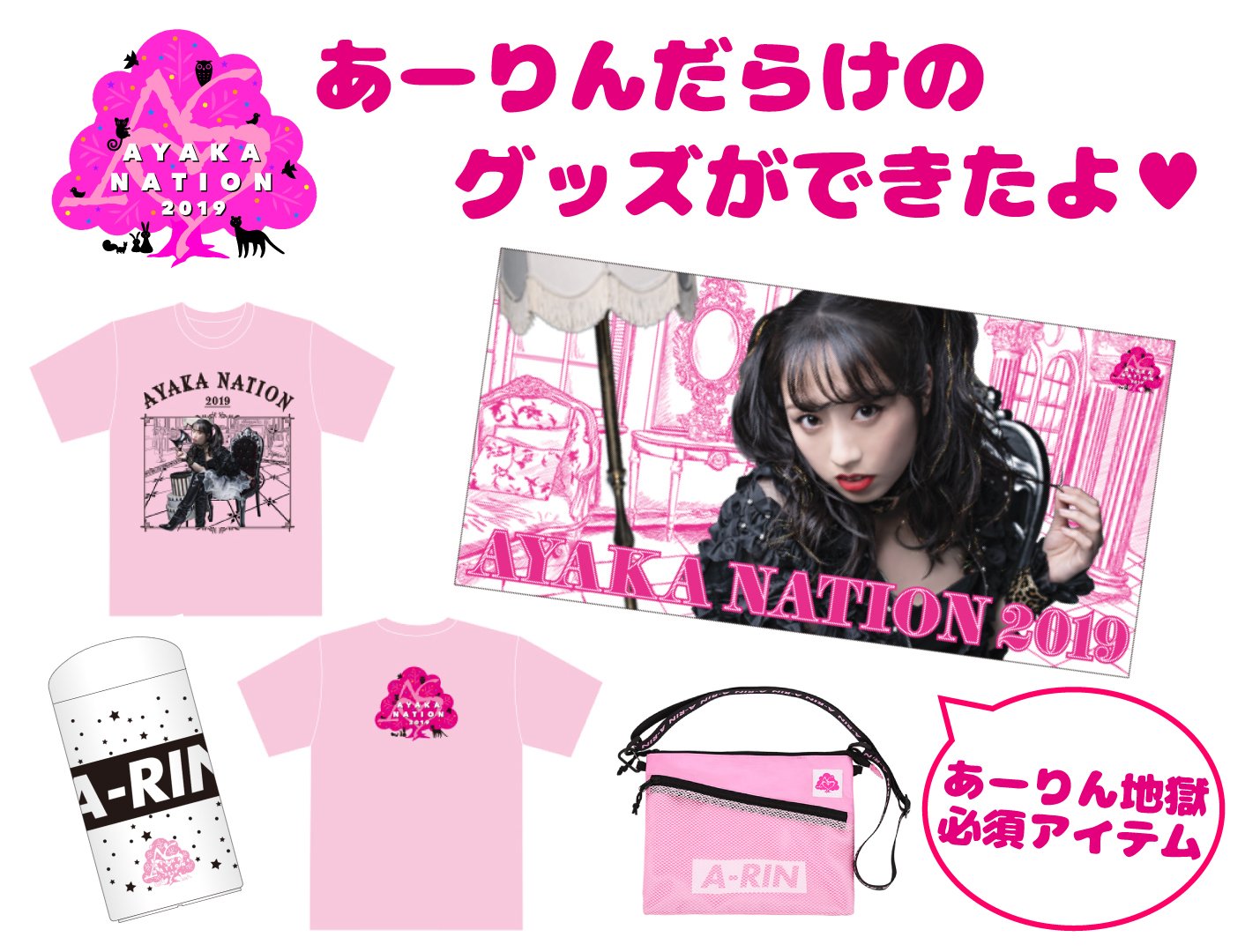 ももクロ AYAKA 緩けれ NATION2019 あーりん 佐々木
