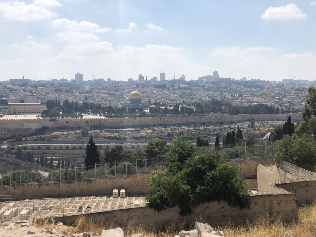 nancy_gelb's tweet photo. Meine Reise geht zu Ende. Es war unglaublich schön und intensiv. Das erste Mal, dass ich alleine unterwegs war. Ich habe wundervolle Menschen kennen gelernt und eine Stadt, die mich durch ihre Vielfalt an Geschichte und Religion bereichert hat. Ich komm definitiv wieder. #iljrm https://t.co/fy3m6lWXkL
