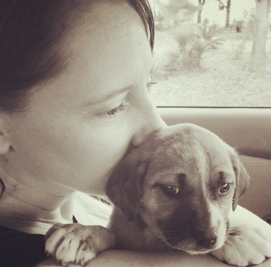 LadyMissCarly's tweet photo. More pics with me and "Lil Bit"
I pray her #hoomin family and her family who adored her sibs are also awesome. https://t.co/kbMKTwEPlo