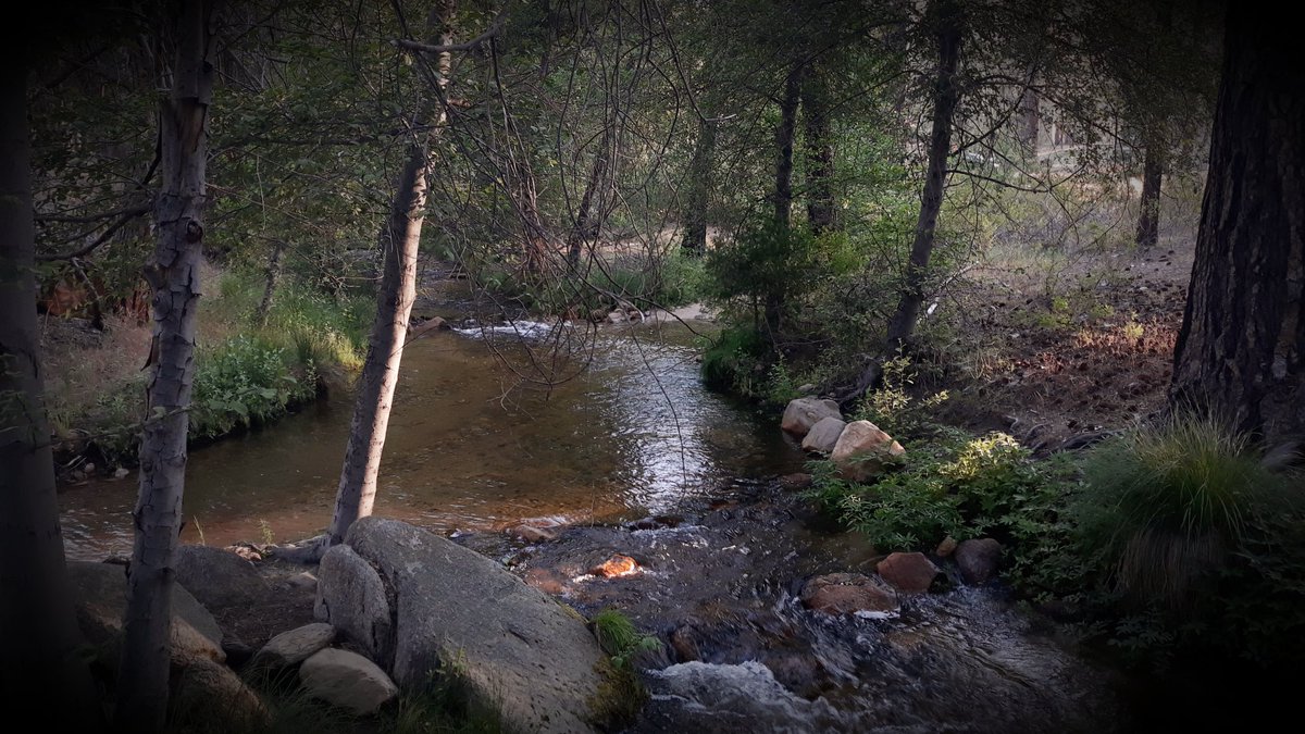 LEndovelicus's tweet photo. I have spent the last few days and nights meditating under the stars. Here are some pics I took. My head is clear and I am strong in zhep'r.
#Sanguinarium #ClanSabretooth #Ramkht #VampyreLife #Vampyre https://t.co/ZGvf9lxeL9