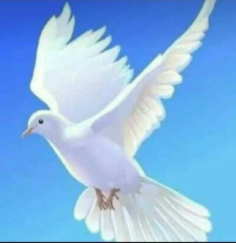 AdeolaSO1's tweet photo. Lord you are wonderful https://t.co/c2dkIyFshn
