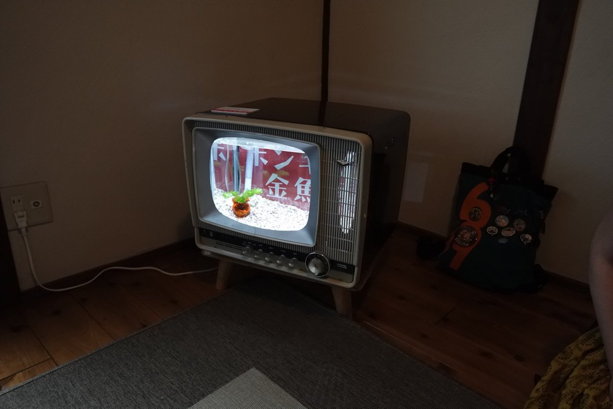 Hagihagi3 28gwc Kikyuu Neko で開催中の Hiyokomiyake さんたちの ホンキの金魚展 へ 自分で作ったミニチュアテレビの参考にしたテレビと水槽と金魚を拝見しに 作家さんともお話しましたが 金魚と古いテレビへの愛 そして新しい技術への興味を
