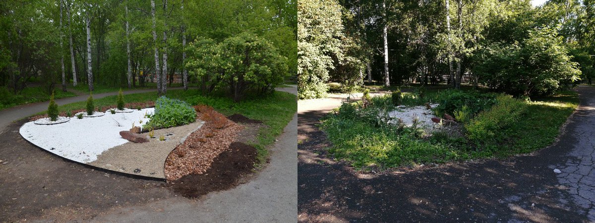 Слева клумба в Харитоновском парке год назад, справа - как она выглядит сейчас. Живое подтверждение, что за всеми посадками нужно ухаживать