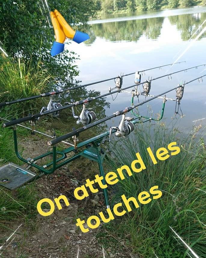 #fishingtime #carpe #carpe #carpfishing #carpangler #carpfishinguk #boilie #nokill #peche #photography #pecheur #FISHING #CARPology #carpaddict