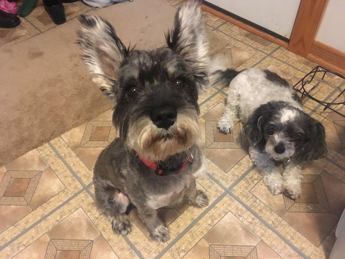 Tammarrian tweet media