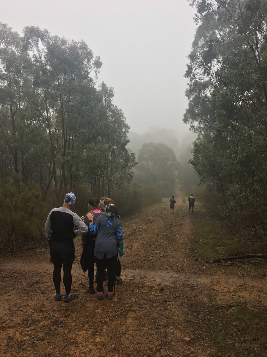 visibleprocrast's tweet photo. Dragon Trail 🐉 this morning in the fog.
#trailrunning #Westerfoldians https://t.co/5SqUTVj0Nt