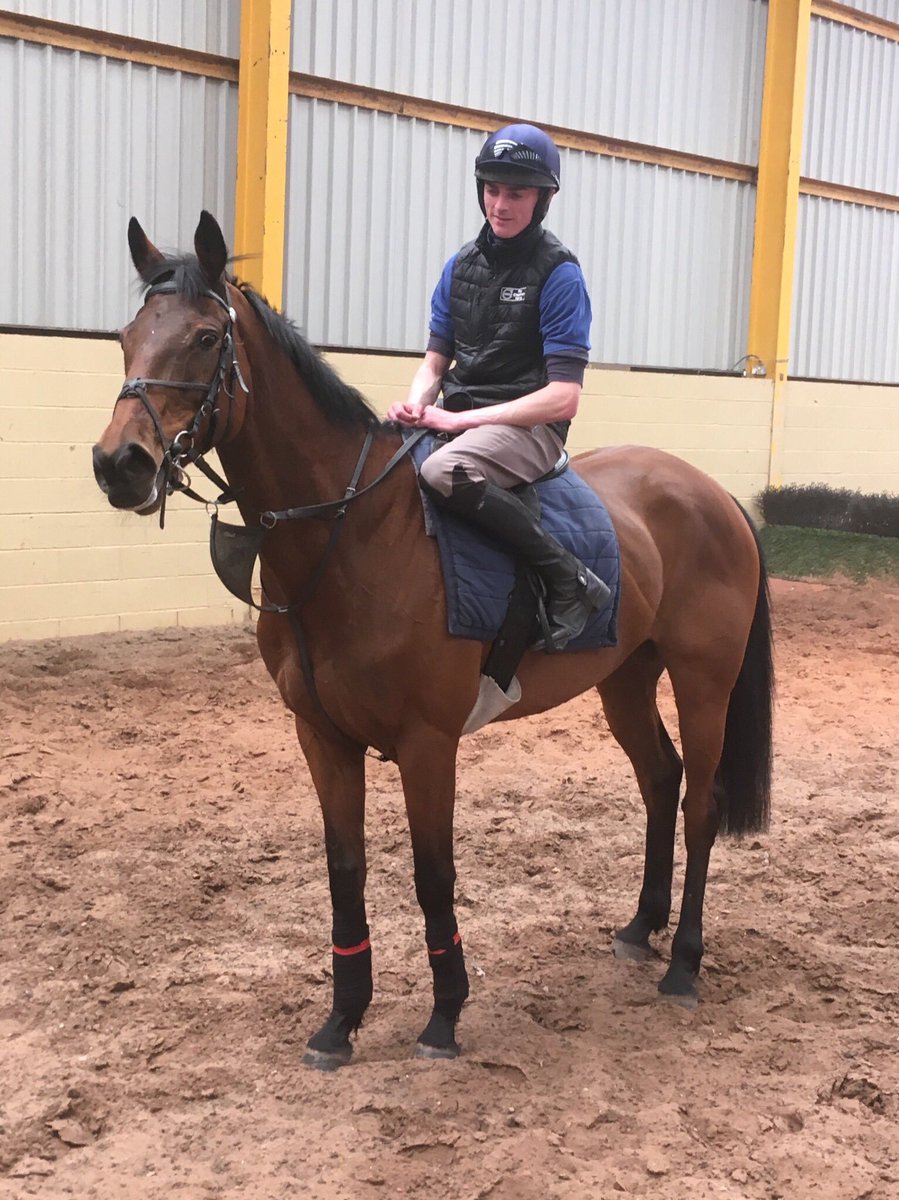 MountRacingNews's tweet photo. Race Day today as @RebeccaEMenzies trained Champagne To Go heads off to @HexhamRaces for us with Top Jockey @nathanmoscrop on board. Good luck to all connections and enjoy your day. #GoChampers 🏇🏼🏇🏼🏇🏼 https://t.co/wrvieoe0lK