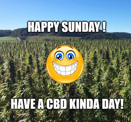 Happy Sunday People! Let us know if CBD is helping you live your day the bet way you can? #cbdbenefits #cbdhelpsme #medicalmarijuana #dabs #cbdhelps #life #livehealthy #cbdlife #cannabisoil #cbdhemp #cbdvape #cbdtincture #happysunday #cbd #anxiety #cannabiscures #anxietyrelief