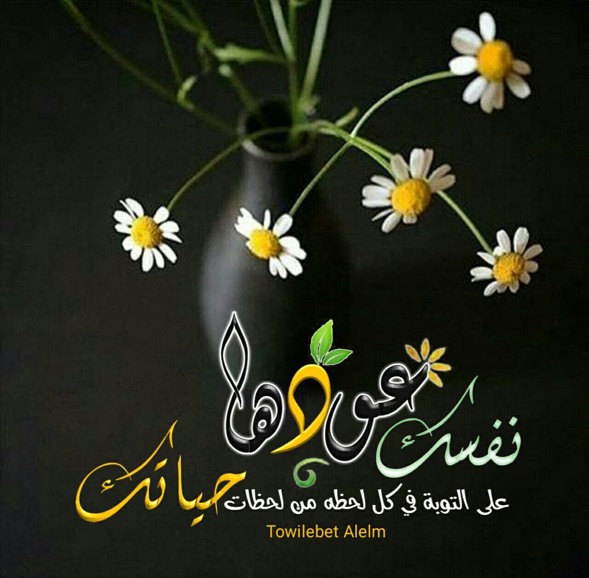 جنوبيه (@roro856121) on Twitter photo 