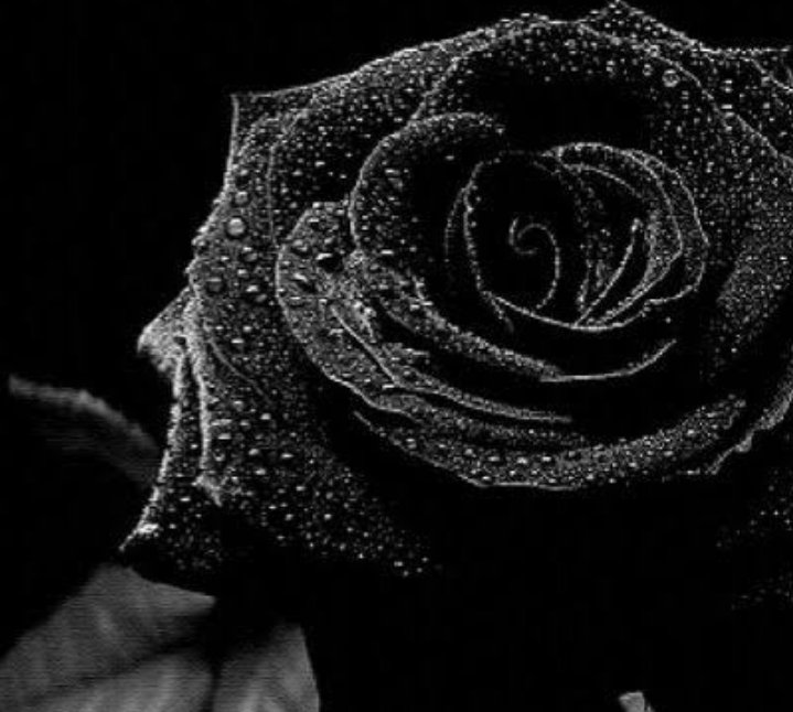 山崎▪𝐵𝒶𝓉𝑜𝓃𝒶𝓈𝒽𝒾 ▪|@LA| tweet media
