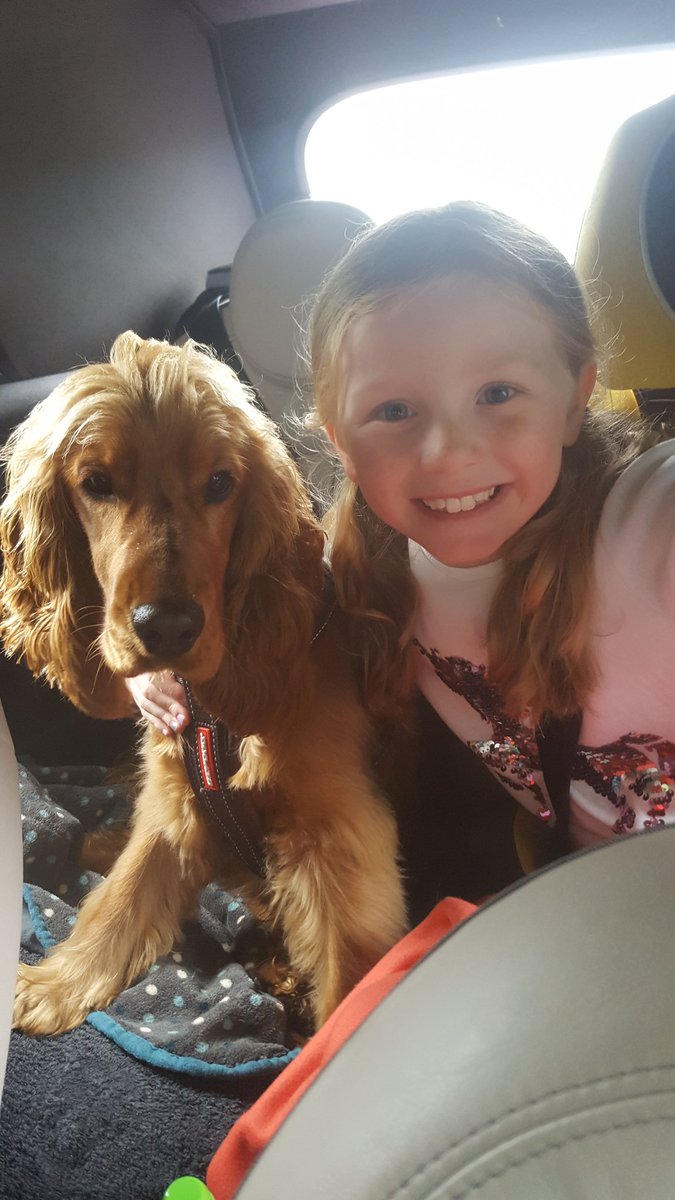 When your daughter's hair matches your dog's ears!! 🤣🤣 #spaniel #puppylove