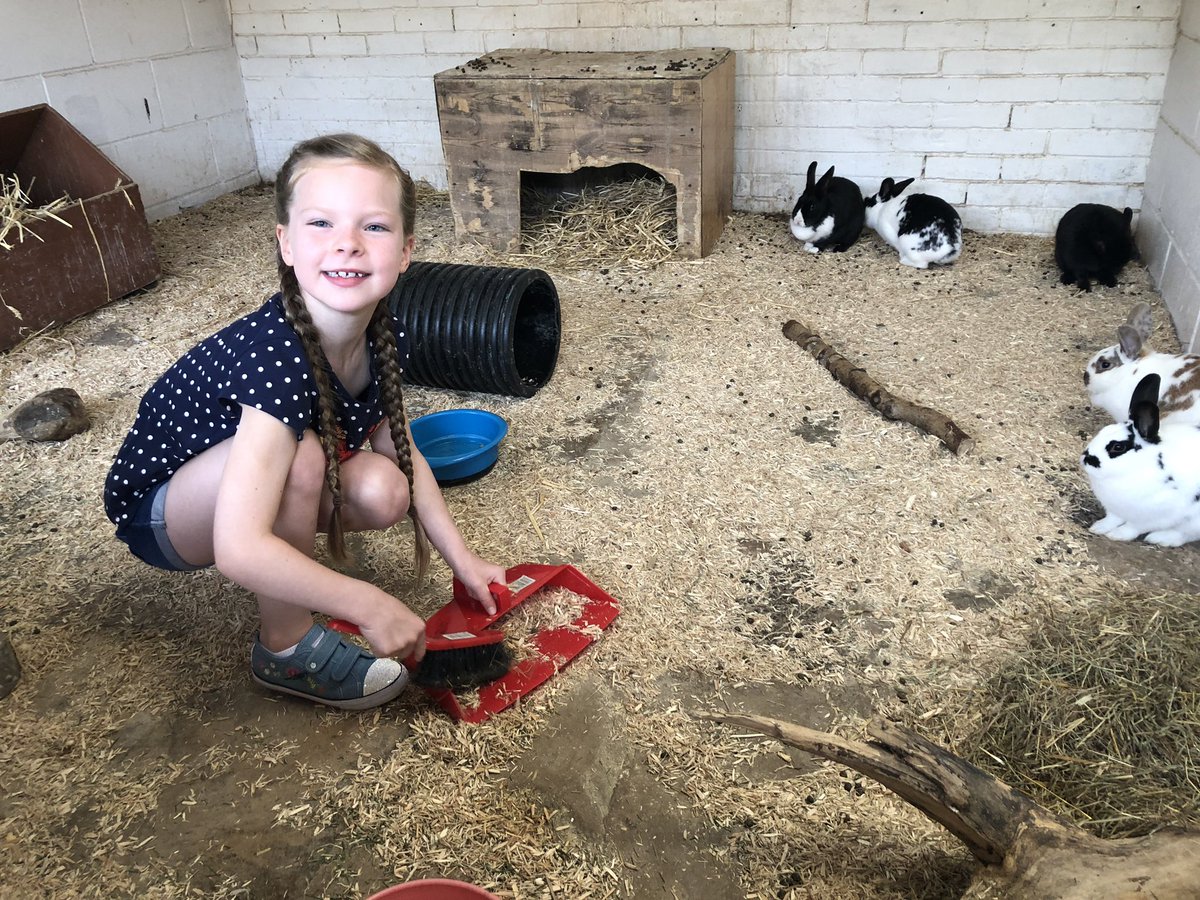 Jcsears11's tweet image. Thank you to Becky @WigfieldFarm for making my daughter’s birthday a very memorable one. The wannabe vet loved being in with the meerkats - look at her little face lit up