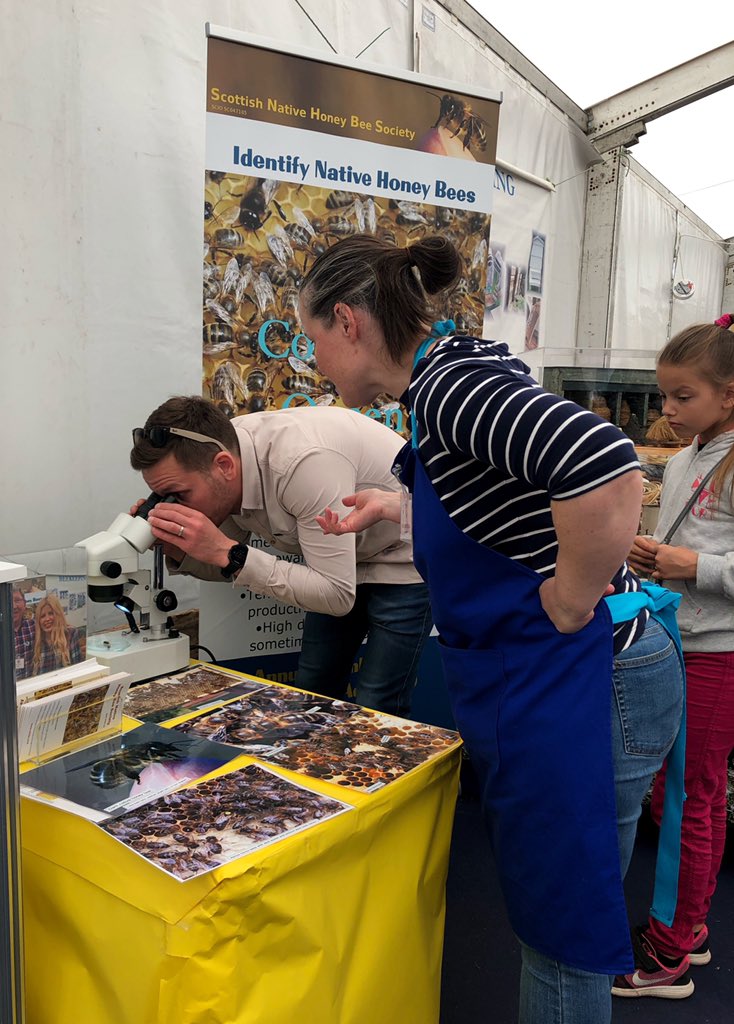 helenajbee's tweet photo. Another great day @ScotlandRHShow in the @Scotbeekeepers #HoneyTent 
Great to catch up with other #Beekeepers from
@KilbarchanBees @snhbsociety @GlasgowBees @EastScotBees @NewbattleBees @AyrBeekeepers #Lanarkshire #EMBA #Aberdeen #Moray #Fife #manymore 🐝🐝 https://t.co/aJvCwjD3ol